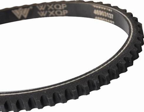 WXQP 10749 - Клиновой ремень, поперечные рёбра www.autospares.lv