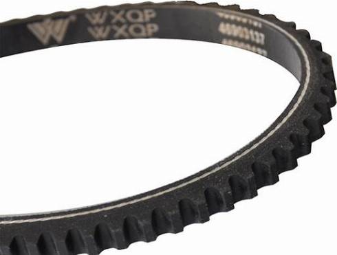 WXQP 10750 - Клиновой ремень, поперечные рёбра www.autospares.lv