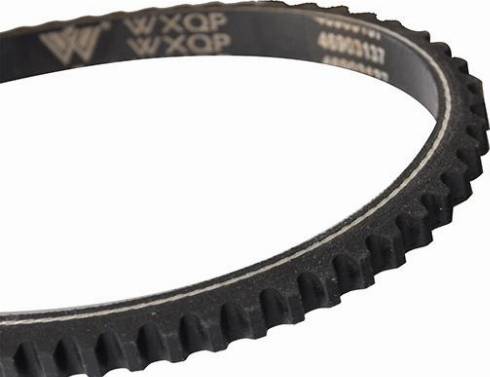 WXQP 10751 - Клиновой ремень, поперечные рёбра www.autospares.lv