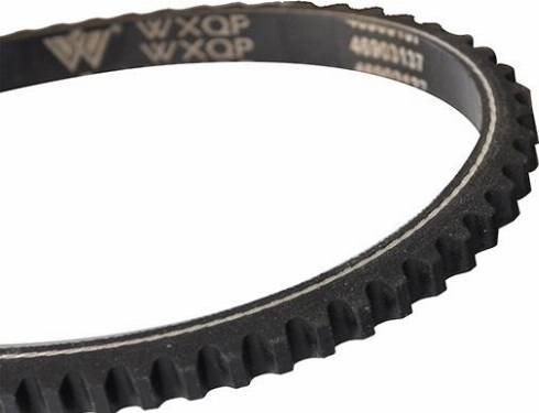 WXQP 10752 - Клиновой ремень, поперечные рёбра www.autospares.lv