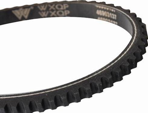 WXQP 10709 - Клиновой ремень, поперечные рёбра www.autospares.lv