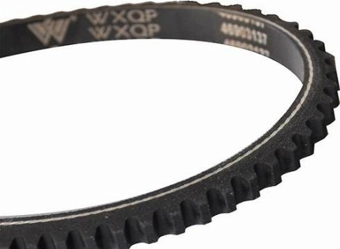 WXQP 10703 - Клиновой ремень, поперечные рёбра www.autospares.lv