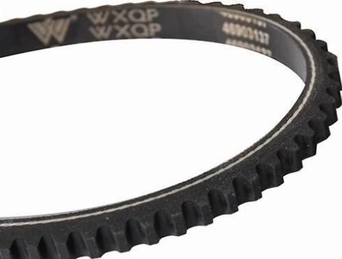 WXQP 10719 - V-Belt www.autospares.lv