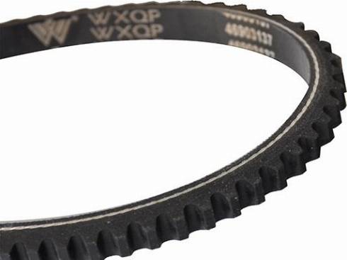 WXQP 10714 - Клиновой ремень, поперечные рёбра www.autospares.lv