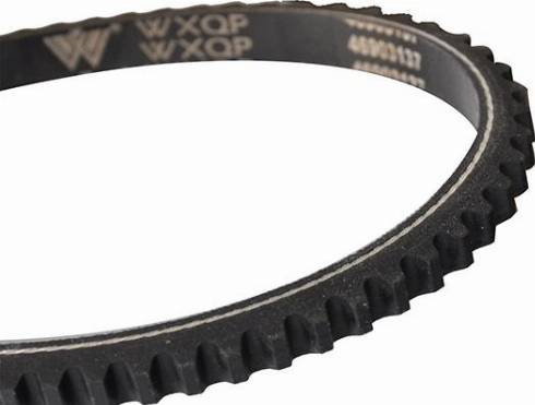 WXQP 10721 - Клиновой ремень, поперечные рёбра www.autospares.lv