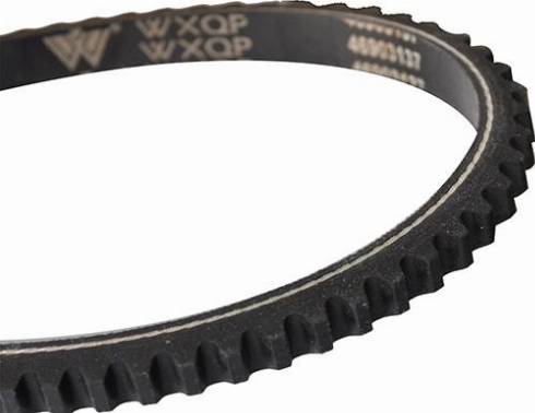 WXQP 10723 - Клиновой ремень, поперечные рёбра www.autospares.lv