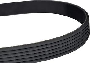 WXQP 10776 - V-Ribbed Belt www.autospares.lv