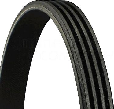 WXQP 11734 - V-Ribbed Belt www.autospares.lv