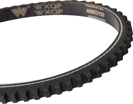 WXQP 311377 - V-Belt www.autospares.lv