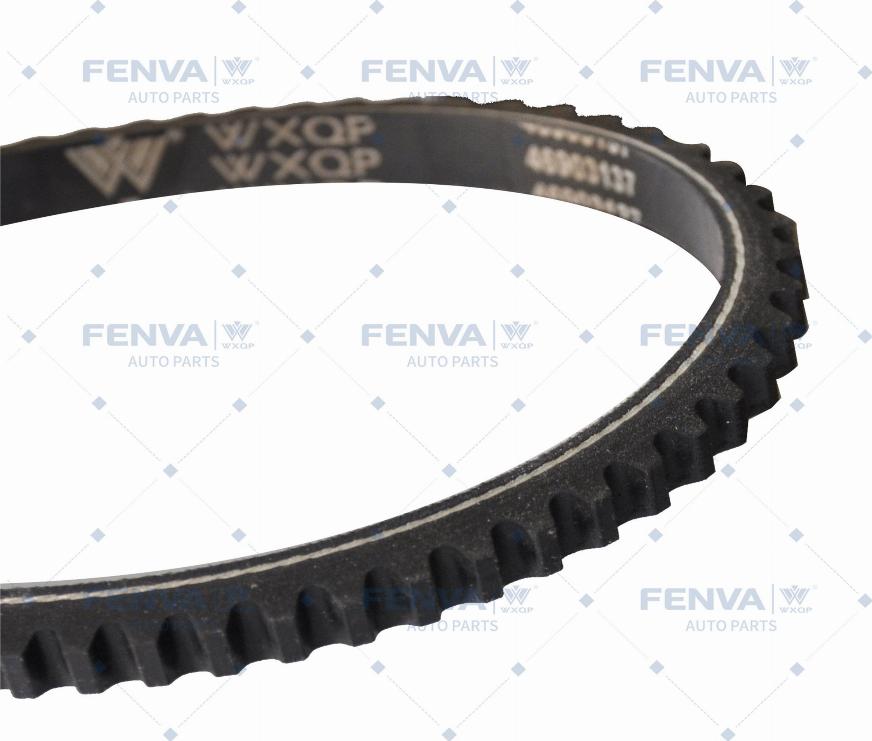 WXQP 313187 - V-Belt www.autospares.lv