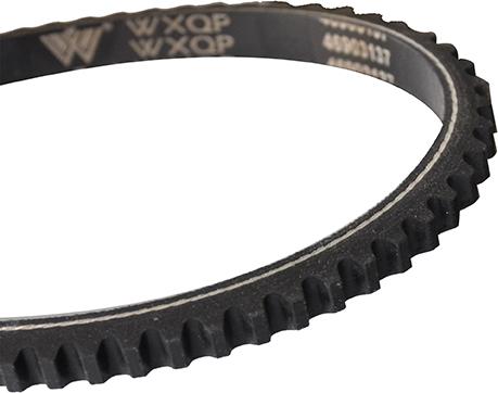 WXQP 313841 - V-Belt www.autospares.lv