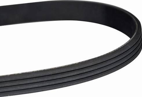 WXQP 313215 - V-Ribbed Belt www.autospares.lv