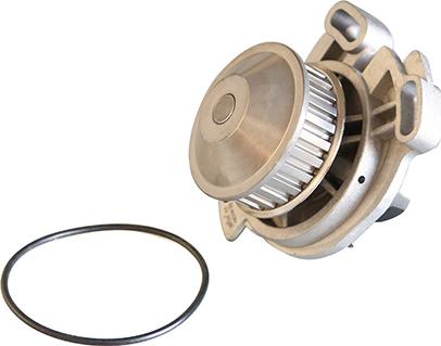 WXQP 321011 - Water Pump www.autospares.lv