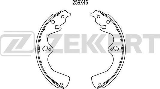 Zekkert BK-4253 - Bremžu loku komplekts autospares.lv