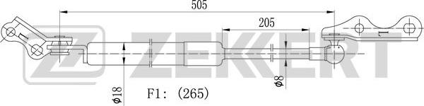 Zekkert GF-2161 - Gāzes atspere, Bagāžas / Kravas nodalījuma vāks www.autospares.lv