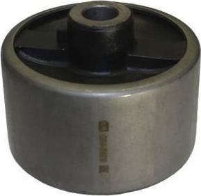 Zekkert GM-5809 - Bush of Control / Trailing Arm www.autospares.lv