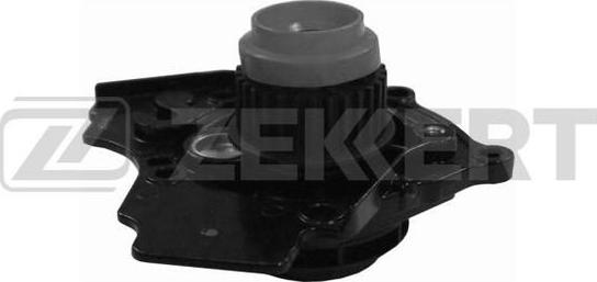 Zekkert WP-1017 - Water Pump www.autospares.lv