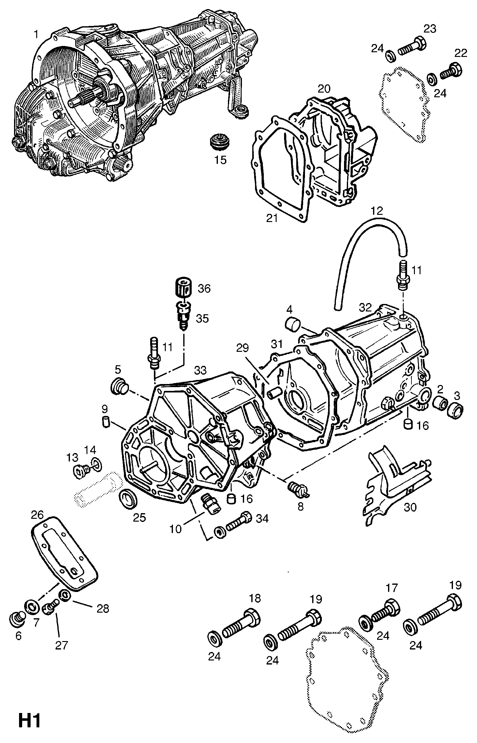 Opel 44 04 724 - Blīvgredzens, Eļļas noliešanas korķis autospares.lv