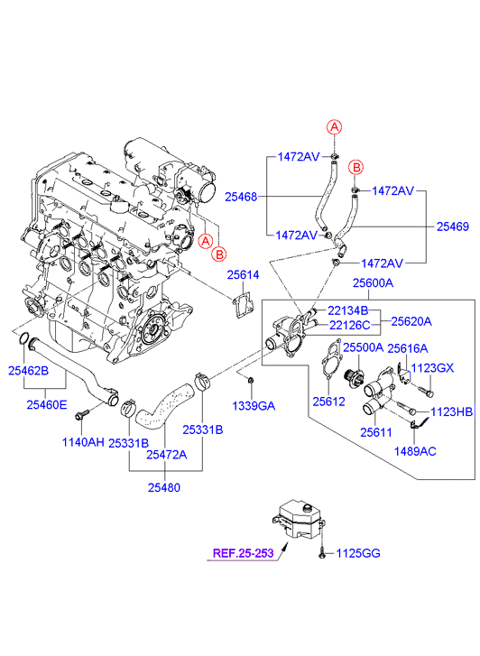 KIA 2561226870 - Blīvgredzens, Vārsta kāts www.autospares.lv