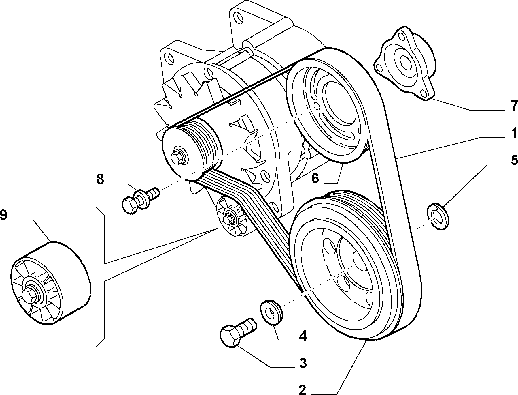 FIAT 504171191 - Ķīļrievu siksna autospares.lv