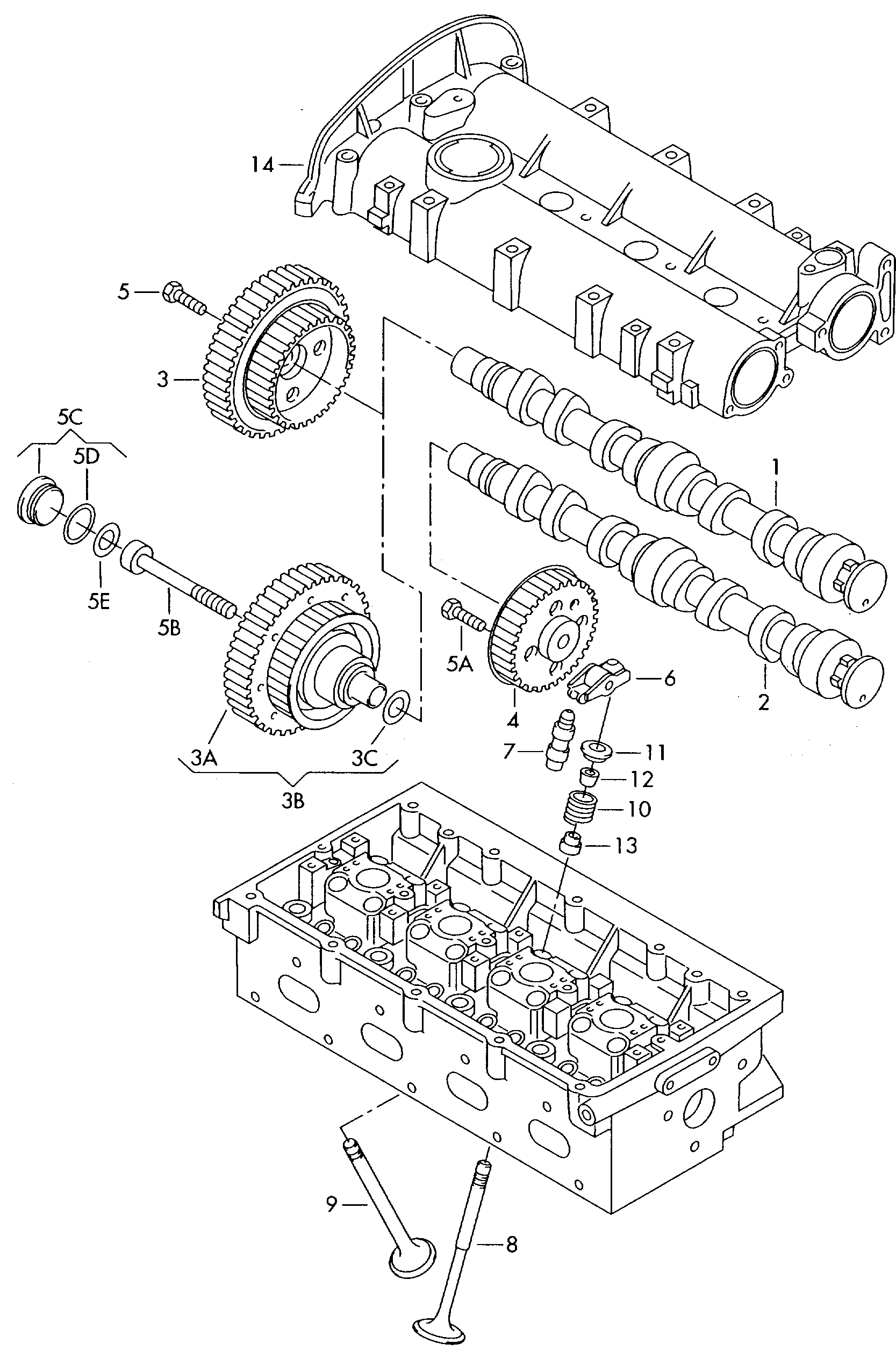 VW 036109111Q - Zobrats, Sadales vārpsta www.autospares.lv